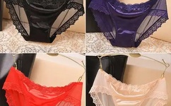 别再野了免费阅读